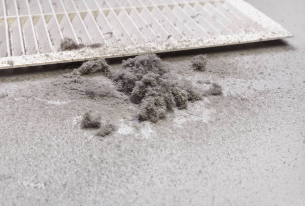 Best Best Air Duct Cleaning Company  in Hales Corners, WI