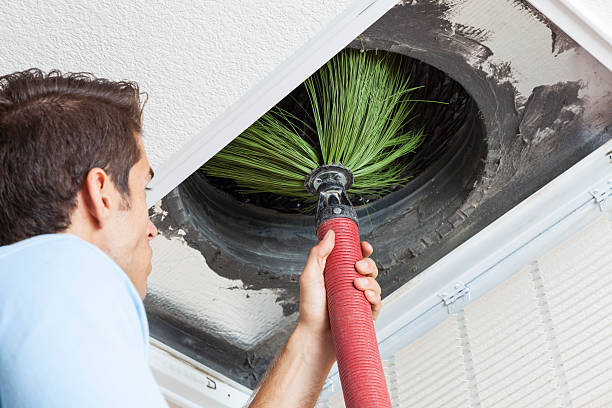Best HVAC Duct Inspection Services  in Hales Corners, WI