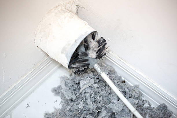 Best HVAC System Cleaning  in Hales Corners, WI